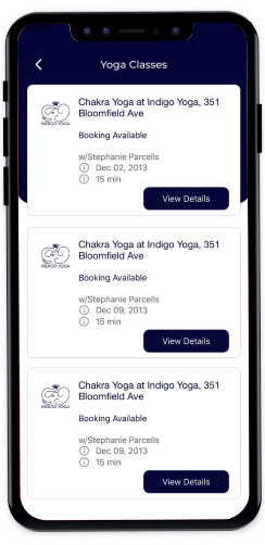 indigo screen 2 2