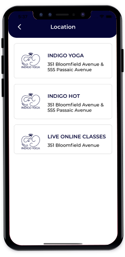 indigo screen 4